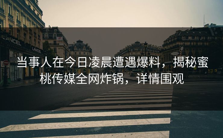 当事人在今日凌晨遭遇爆料,揭秘蜜桃传媒全网炸锅,详情围观 当事人在今日凌晨遭遇爆料,揭秘蜜桃传媒全网炸锅,详情围观