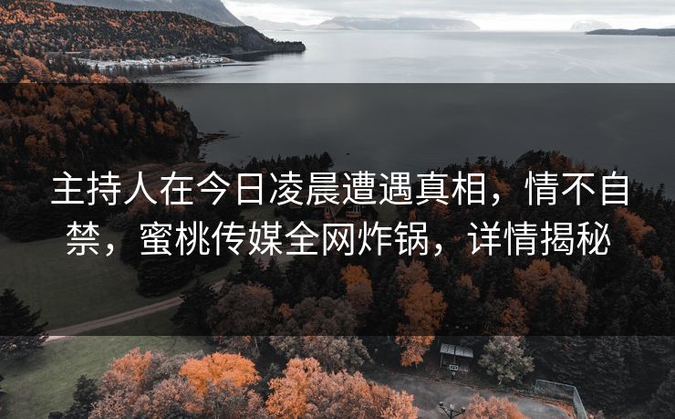 主持人在今日凌晨遭遇真相,情不自禁,蜜桃传媒全网炸锅,详情揭秘 主持人在今日凌晨遭遇真相,情不自禁,蜜桃传媒全网炸锅,详情揭秘