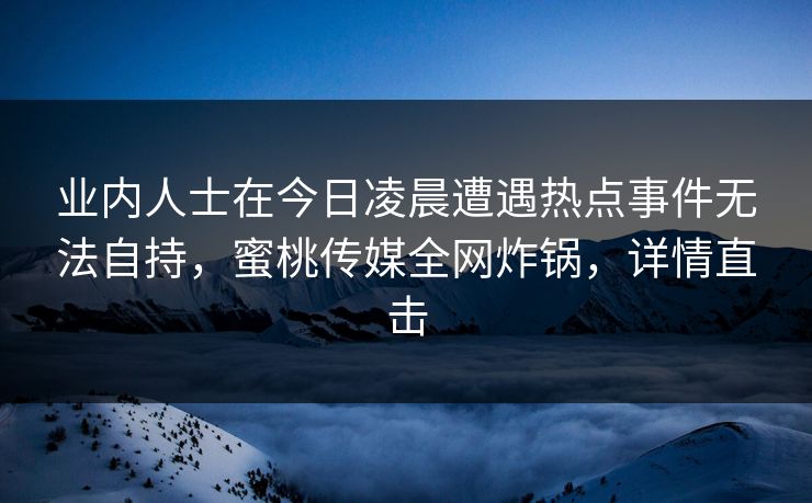 业内人士在今日凌晨遭遇热点事件无法自持,蜜桃传媒全网炸锅,详情直击 业内人士在今日凌晨遭遇热点事件无法自持,蜜桃传媒全网炸锅,详情直击