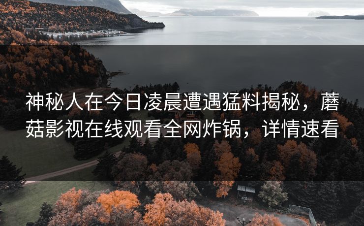 神秘人在今日凌晨遭遇猛料揭秘,蘑菇影视在线观看全网炸锅,详情速看 神秘人在今日凌晨遭遇猛料揭秘,蘑菇影视在线观看全网炸锅,详情速看