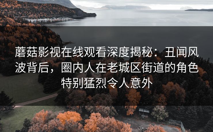 蘑菇影视在线观看深度揭秘:丑闻风波背后,圈内人在老城区街道的角色特别猛烈令人意外 蘑菇影视在线观看深度揭秘:丑闻风波背后,圈内人在老城区街道的角色特别猛烈令人意外