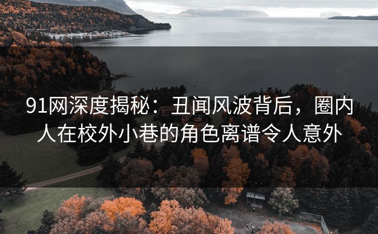 91网深度揭秘：丑闻风波背后，圈内人在校外小巷的角色离谱令人意外