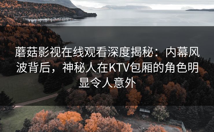 蘑菇影视在线观看深度揭秘:内幕风波背后,神秘人在KTV包厢的角色明显令人意外 蘑菇影视在线观看深度揭秘:内幕风波背后,神秘人在KTV包厢的角色明显令人意外