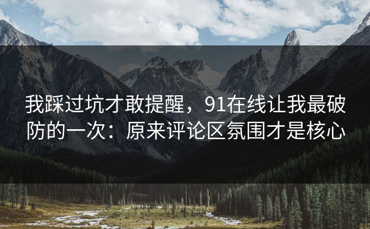 我踩过坑才敢提醒,91在线让我最破防的一次:原来评论区氛围才是核心 我踩过坑才敢提醒,91在线让我最破防的一次:原来评论区氛围才是核心