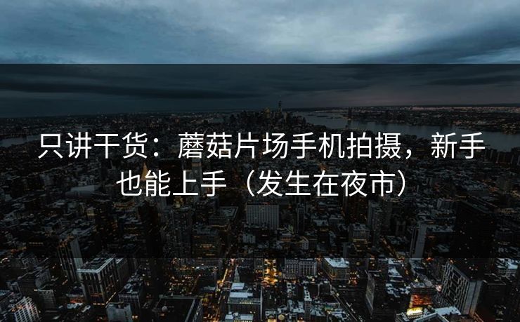 只讲干货:蘑菇片场手机拍摄,新手也能上手(发生在夜市) 只讲干货:蘑菇片场手机拍摄,新手也能上手(发生在夜市)