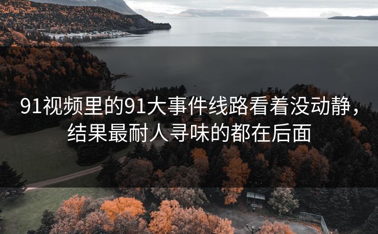 91视频里的91大事件线路看着没动静,结果最耐人寻味的都在后面 91视频里的91大事件线路看着没动静,结果最耐人寻味的都在后面